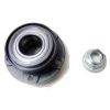 FISPA 460139 Wheel Bearing Kit